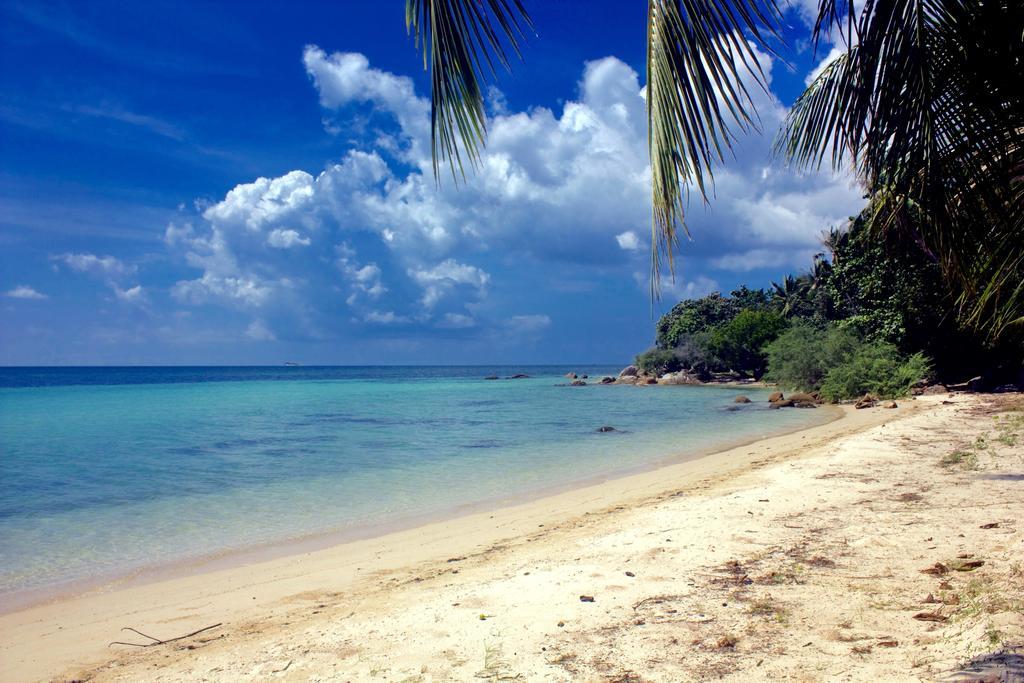 The Green Palm Ko Pha Ngan Room photo